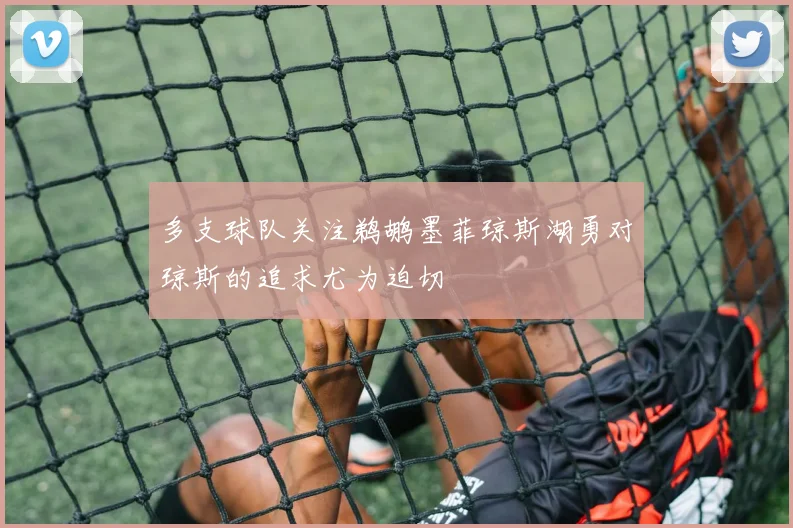 多支球队关注鹈鹕墨菲琼斯湖勇对琼斯的追求尤为迫切