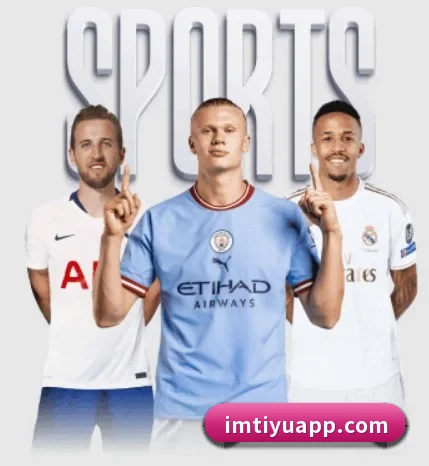 五大服务分区,信息按项目分类（IMSPORTS）