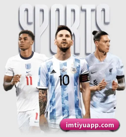 坚持做好基础的事 | IMSPORTS