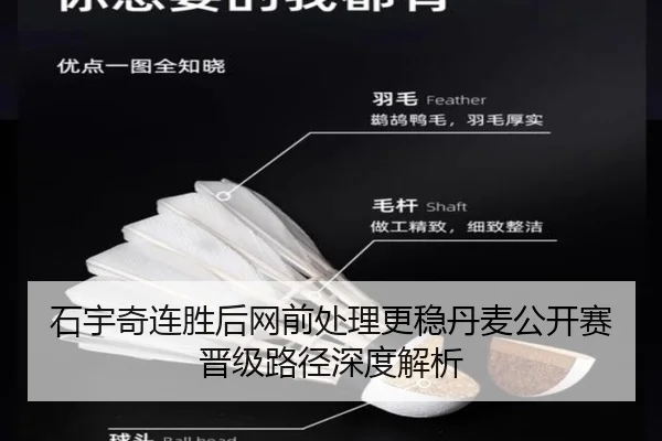石宇奇连胜后网前处理更稳丹麦公开赛晋级路径深度解析 | IMSPORTS